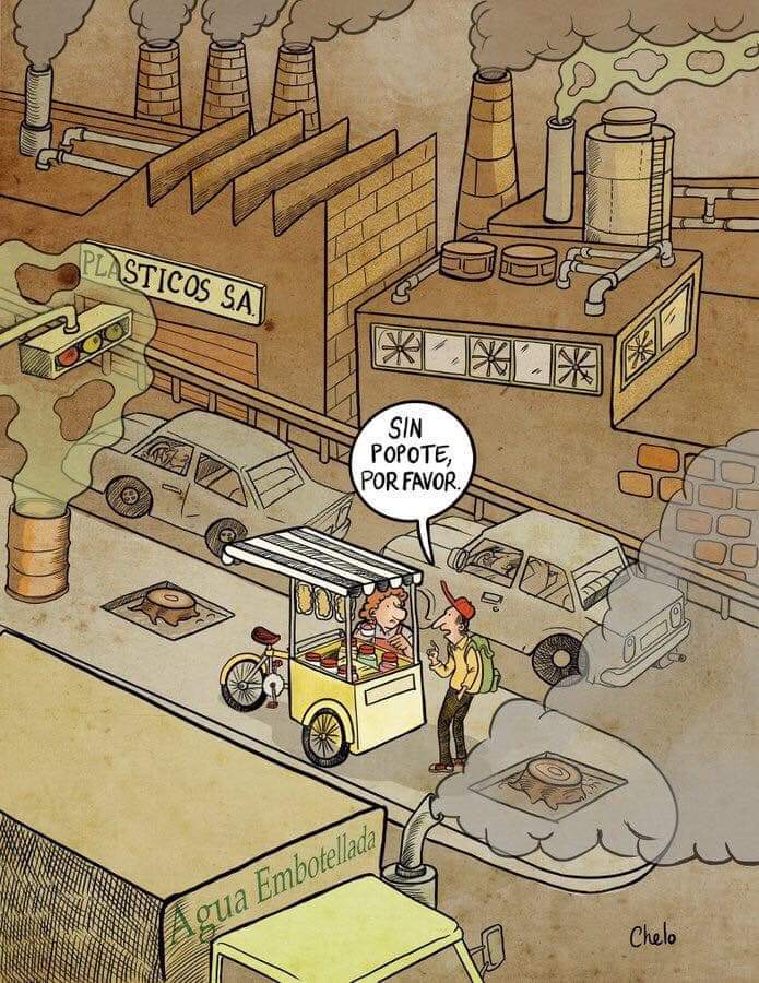 61604170_2240670999483908_2535459477050621952_n